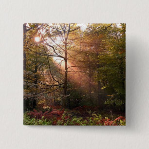 Badge Carré 5 Cm Royaume-Uni. Forêt de Dean. Rayon de soleil pénétr