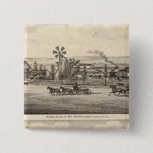 Badge Carré 5 Cm Rres de Peacock, Willow Glen