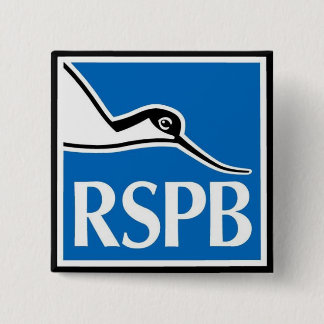 BADGE CARRÉ 5 CM RSPB