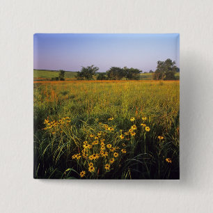 Badge Carré 5 Cm Rudbeckies à œil noir dans la prairie de hautes he