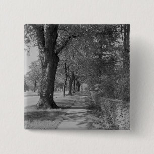 Badge Carré 5 Cm Rue Treelined avec le trottoir