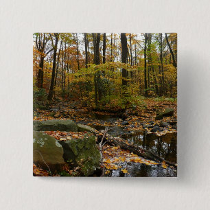 Badge Carré 5 Cm Ruisseau de Fall avec reflet au parc Laurel Hill