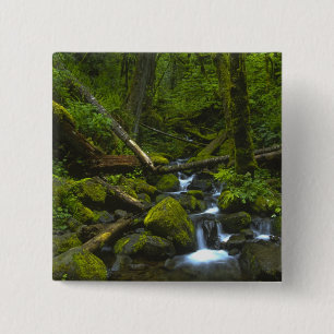 Badge Carré 5 Cm Ruisseau de la forêt pluviale tempérée dans la riv