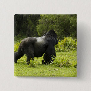 Badge Carré 5 Cm Rwanda, Parc national des Volcans