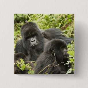 Badge Carré 5 Cm Rwanda, Parc national des Volcans