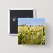 Badge Carré 5 Cm Rye (Devant & derrière)