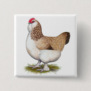 Badge Carré 5 Cm Salmon Faverolle