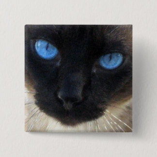 Badge Carré 5 Cm Sam le chat siamois