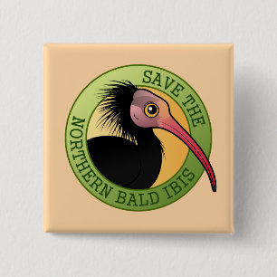 Badge Carré 5 Cm Sauvez IBIS chauve du nord