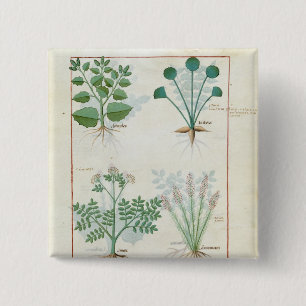 Badge Carré 5 Cm Sel Bush et absinthe et cardamome d'Anthora