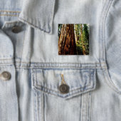 Badge Carré 5 Cm Séquoias Yosemite (En situation)