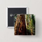 Badge Carré 5 Cm Séquoias Yosemite (Devant & derrière)