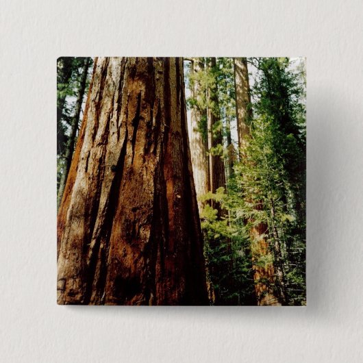 Badge Carré 5 Cm Séquoias Yosemite (Devant)