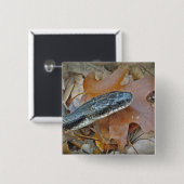 Badge Carré 5 Cm Serpent de rat noir - Elaphe obsoleta obsoleta (Devant & derrière)