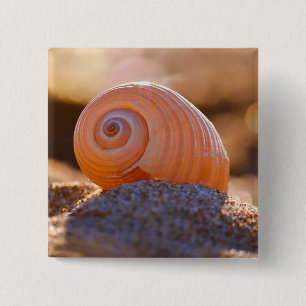 Badge Carré 5 Cm Shell Bokeh Greece