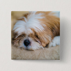 Badge Carré 5 Cm Shih Tzu