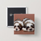 Badge Carré 5 Cm Shih Tzu (Devant & derrière)