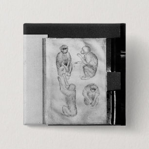 Badge Carré 5 Cm Singes, de l'album de Vallardi