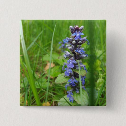 Badge Carré 5 Cm Skullcap Violet Fleur sauvage (Devant)