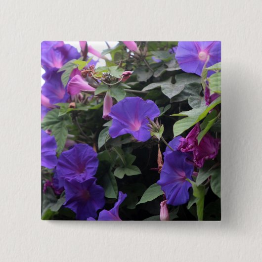 Badge Carré 5 Cm Spring Morning Glories en bleu (Devant)