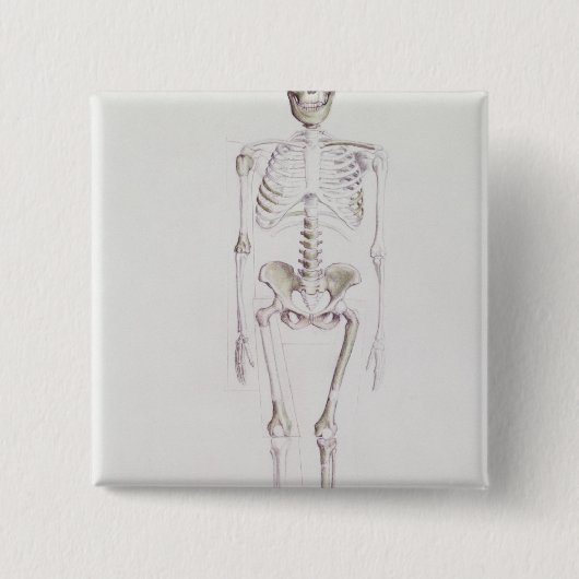 Badge Carré 5 Cm Squelette d'africanus d'australopithèque (Devant)