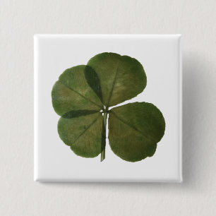 Badge Carré 5 Cm St Patrick Real 4 Leaf Clover Obtenez Lucky Button