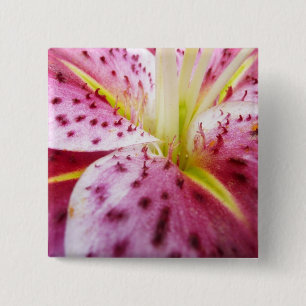 Badge Carré 5 Cm Stargazer Lily brillant Magenta Floral