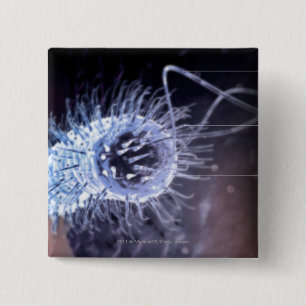 Badge Carré 5 Cm Structure d'une cellule de pylores de hélicobacte