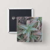 Badge Carré 5 Cm Succulentes du Nevada (Devant & derrière)