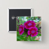 Badge Carré 5 Cm Sweet William Button (Devant & derrière)