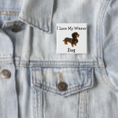 Badge Carré 5 Cm T-shirt Chien Dachshund Weiner (En situation)