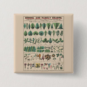 Badge Carré 5 Cm Tableau scolaire botanique antique de la nature vi