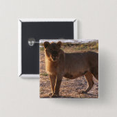 Badge Carré 5 Cm Tau, Lion, Photo (Devant & derrière)