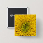 Badge Carré 5 Cm Teddy Bear Sunflower (Devant & derrière)