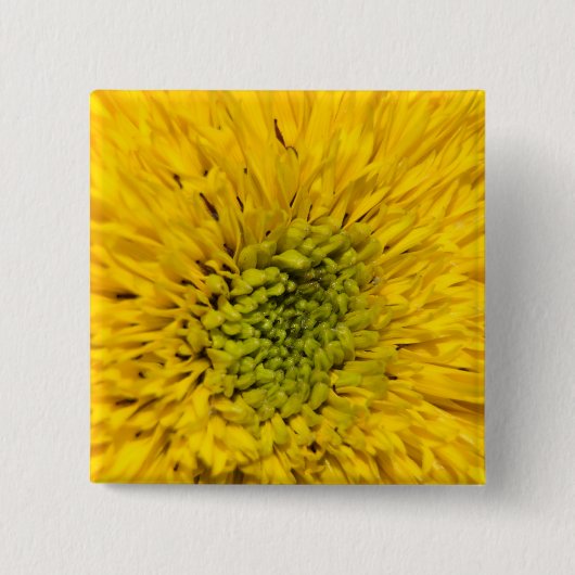 Badge Carré 5 Cm Teddy Bear Sunflower (Devant)