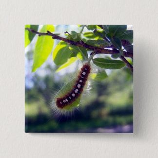 Badge Carré 5 Cm Tente Caterpillar de forêt 1 bouton