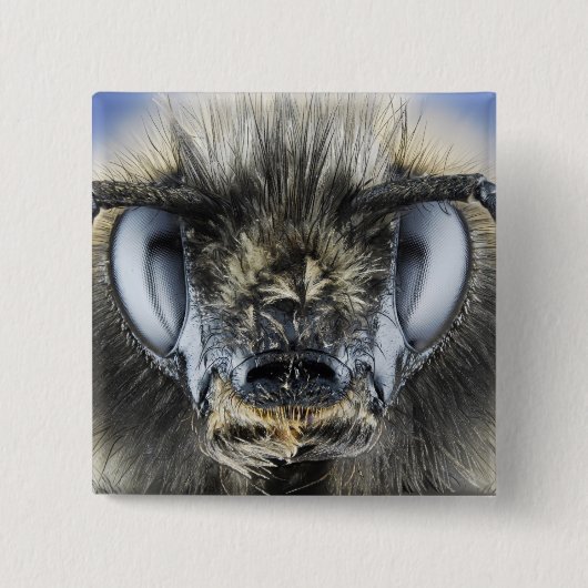 Badge Carré 5 Cm Tête de bourdon (Devant)