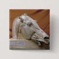 Tête d'un cheval de Selene