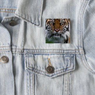 Badge Carré 5 Cm Tête et visage de tigre