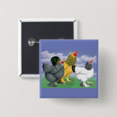 Badge Carré 5 Cm Three Brahmas (Devant & derrière)