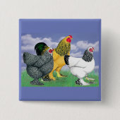 Badge Carré 5 Cm Three Brahmas (Devant)