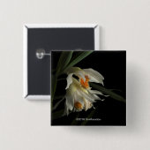 Badge Carré 5 Cm Thunia Marshalliana (Devant & derrière)