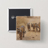 Badge Carré 5 Cm Tigres du Bengale (Devant & derrière)