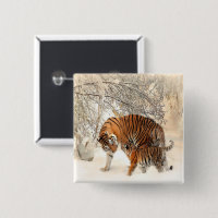 tigres sur neige