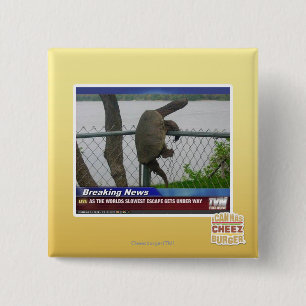 Badge Carré 5 Cm Tortue d'Excaping