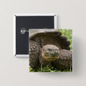 Badge Carré 5 Cm Tortue géante (Devant & derrière)