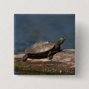 Badge Carré 5 Cm Tortue peinte sur un bûcher