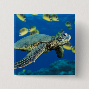 Badge Carré 5 Cm Tortue verte de mer