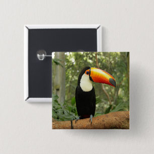 Badge Carré 5 Cm Toucan sur branche d'arbre