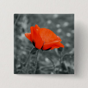 Badge Carré 5 Cm Touche de couleur Bouton Coquelicot